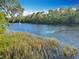 Expansive waterfront with blue water and lush vegetation, offering scenic views and a tranquil atmosphere at 9525 Sw 200 Ct, Dunnellon, FL 34431