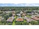 Aerial view of home showcases its location within a lush, residential community surrounded by mature trees at 12165 Se 91St Ave, Summerfield, FL 34491