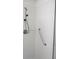 Shower featuring white tile, grab bar and shower head at 13816 Sw 112Th Ter, Dunnellon, FL 34432