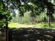 Scenic backyard with lush greenery, towering trees, and a glimpse of natural woodland at 14272 Sw 112Th Cir, Dunnellon, FL 34432