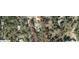 An aerial view showing the home's placement on a large lot surrounded by trees at 20386 Sw 95Th St, Dunnellon, FL 34431