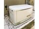 Exterior view of home standby generator at 20386 Sw 95Th St, Dunnellon, FL 34431