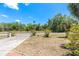 View of the front lawn and driveway of a lovely home, surrounded by lush trees and greenery at 347 Oak Lane Dr, Ocala, FL 34472