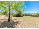 View of the back of the home and surrounding lush, green lot at 347 Oak Lane Dr, Ocala, FL 34472