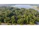 Scenic aerial view of a lakeside property surrounded by lush greenery and a tranquil lake at 3579 Sw Shorewood Dr, Dunnellon, FL 34431
