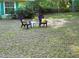 Charming backyard with Adirondack chairs, side table, and yellow cushions for relaxing outdoors at 3579 Sw Shorewood Dr, Dunnellon, FL 34431