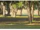 A picturesque view of a property with mature trees, landscaping and a glimpse of water beyond at 3579 Sw Shorewood Dr, Dunnellon, FL 34431