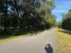 Neighborhood street view with mature trees, greenery, and a glimpse of houses in the distance under a bright sky at 3579 Sw Shorewood Dr, Dunnellon, FL 34431