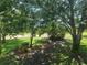 Beautiful backyard featuring well-maintained green grass and mature shade trees at 606 Midway Dr # B, Ocala, FL 34472