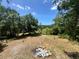 Expansive backyard featuring mature trees and ample space for outdoor activities at 6498 Se 167Th Ct, Ocklawaha, FL 32179