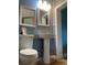 Bathroom with pedestal sink, decorative mirrors, toilet, and blue walls at 6498 Se 167Th Ct, Ocklawaha, FL 32179