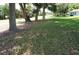 Lawn, trees and landscape details on this property at 6836 Sw 112Th St, Ocala, FL 34476