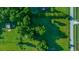 Expansive lot featuring lush greenery, mature trees, and well-maintained landscaping at 13232 Ne 39Th Ter, Anthony, FL 32617