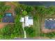 Aerial view of a home with a pool and lush landscaping, with adjacent pond and surrounding greenery at 260 Country Circle W Dr, Port Orange, FL 32128