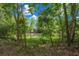 Scenic view of a tranquil pond surrounded by lush greenery and tall trees creating a peaceful atmosphere at 260 Country Circle W Dr, Port Orange, FL 32128
