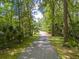 Long driveway surrounded by mature trees and lush green grass at 400 Se 90Th St, Ocala, FL 34480