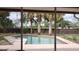 Screened in patio view of the pool and backyard featuring palm trees at 12 Brook Pl, Ocala, FL 34472