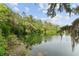 Beautiful waterfront view showcases a peaceful lake surrounded by lush greenery and trees at 19938 Burkitt Rd, Dunnellon, FL 34432