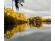 Picturesque sunset view of trees reflecting on a tranquil lake at 19938 Burkitt Rd, Dunnellon, FL 34432
