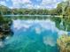 Scenic view of lake with clear blue water, blue sky and surrounding green trees and vegetation at 19938 Burkitt Rd, Dunnellon, FL 34432