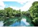 Scenic river view of crystal clear water for kayaking lined with lush greenery and mossy trees at 19938 Burkitt Rd, Dunnellon, FL 34432