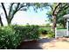 Backyard with a partial view of a field beyond a black fence and flowering bushes at 5351 Sw 80Th Pl, Ocala, FL 34476