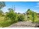Landscaped backyard with mature trees and a charming pergola covered in lush greenery at 11091 Sw 76Th Ter, Ocala, FL 34476