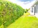 Backyard with healthy, bright green grass and privacy landscaping, running along the back of the home at 1402 Arredondo Dr, The Villages, FL 32162