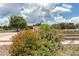 Bocce ball courts amid beautiful landscaping in a lovely community at 1427 Sw 161St St, Ocala, FL 34473