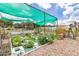 Community herb and vegetable garden plots are great for garden club members to grow produce at 1427 Sw 161St St, Ocala, FL 34473