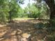 Overgrown lot surrounded by mature trees and foliage creating a secluded feel at 1737 Griffin Ave, Lady Lake, FL 32159