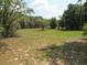 Large lot featuring a mix of grass, trees, and ground cover at 1737 Griffin Ave, Lady Lake, FL 32159