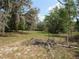 Large lot with natural landscape with a mix of trees, plants and ground cover at 1737 Griffin Ave, Lady Lake, FL 32159