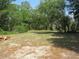 Large vacant lot with a mix of grass and dirt and lots of trees in the background at 1737 Griffin Ave, Lady Lake, FL 32159