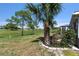 Backyard and golf course view with landscaping, a palm tree, and part of a golf course visible at 9649 Sw 90Th St, Ocala, FL 34481