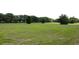 Expansive parcel of land with lush green grass, mature trees, and potential for development or recreation at 0000 Se 116Th Place Rd, Ocala, FL 34480