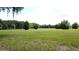 A lush green field with mature trees perfect for development at 0000 Se 116Th Place Rd, Ocala, FL 34480
