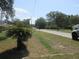 Palm tree on a residential street with mature trees at 17315 Se 18Th St, Silver Springs, FL 34488