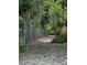 Fenced backyard with a tree-lined landscape offers privacy and natural beauty at 1809 Sw 29Th Ter, Ocala, FL 34474