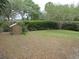 View of the backyard with a small storage shed on the left and lush green trees at 5949 Se 164Th Ct, Ocklawaha, FL 32179