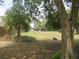 Backyard with a lush lawn, surrounded by a border of trees and greenery at 5949 Se 164Th Ct, Ocklawaha, FL 32179