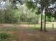 View of the backyard with lots of greenery at 5949 Se 164Th Ct, Ocklawaha, FL 32179