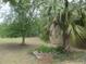 Large backyard with mature trees and lush greenery at 5949 Se 164Th Ct, Ocklawaha, FL 32179
