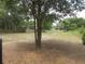 Spacious backyard with trees and greenery at 5949 Se 164Th Ct, Ocklawaha, FL 32179