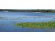 Scenic lake view with lily pads and trees in the background creating a peaceful, natural setting at 5949 Se 164Th Ct, Ocklawaha, FL 32179