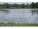 Scenic view of the pond on the property at 5949 Se 164Th Ct, Ocklawaha, FL 32179