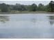 Scenic view of pond on the property with lily pads at 5949 Se 164Th Ct, Ocklawaha, FL 32179