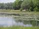 View of the property's pond shows a chain link fence along the water at 5949 Se 164Th Ct, Ocklawaha, FL 32179
