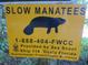 Bright yellow slow manatees sign with a black manatee in the Eureka West Recreation Area at 5949 Se 164Th Ct, Ocklawaha, FL 32179