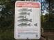 Statewide Largemouth Bass Regulation sign in the Eureka West Recreation Area with information at 5949 Se 164Th Ct, Ocklawaha, FL 32179